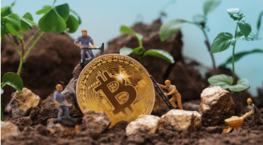 Environmental Impact of Crypto
